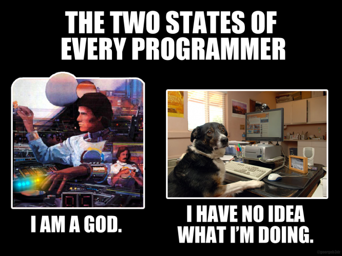 Two States of a Programmer